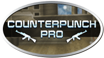 Counter Punch Pro