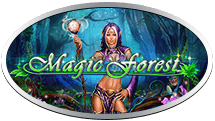 Magic Forest