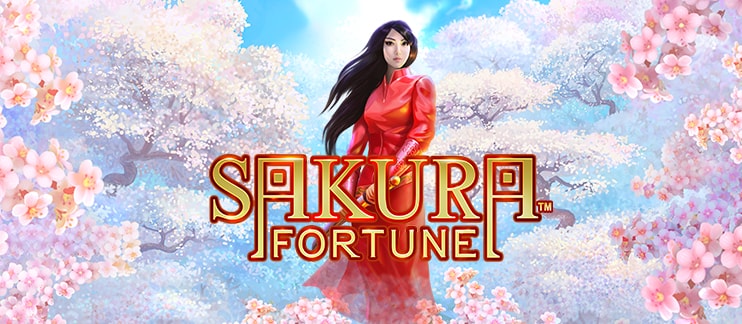 sakura_fortune